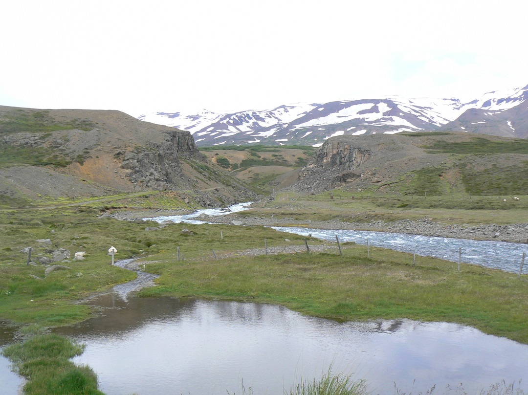 Polar Hestar-阿克雷里必去景点
