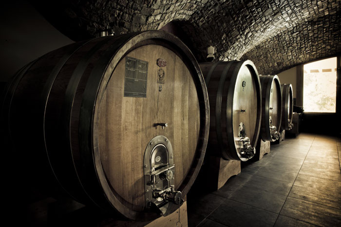Azienda Agricola Sant'Egidio景点图片