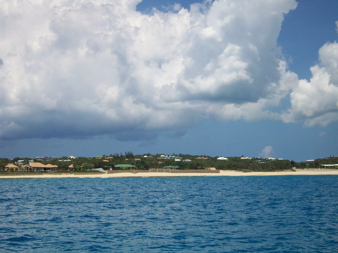 Celine Charters-辛普森湾必去景点