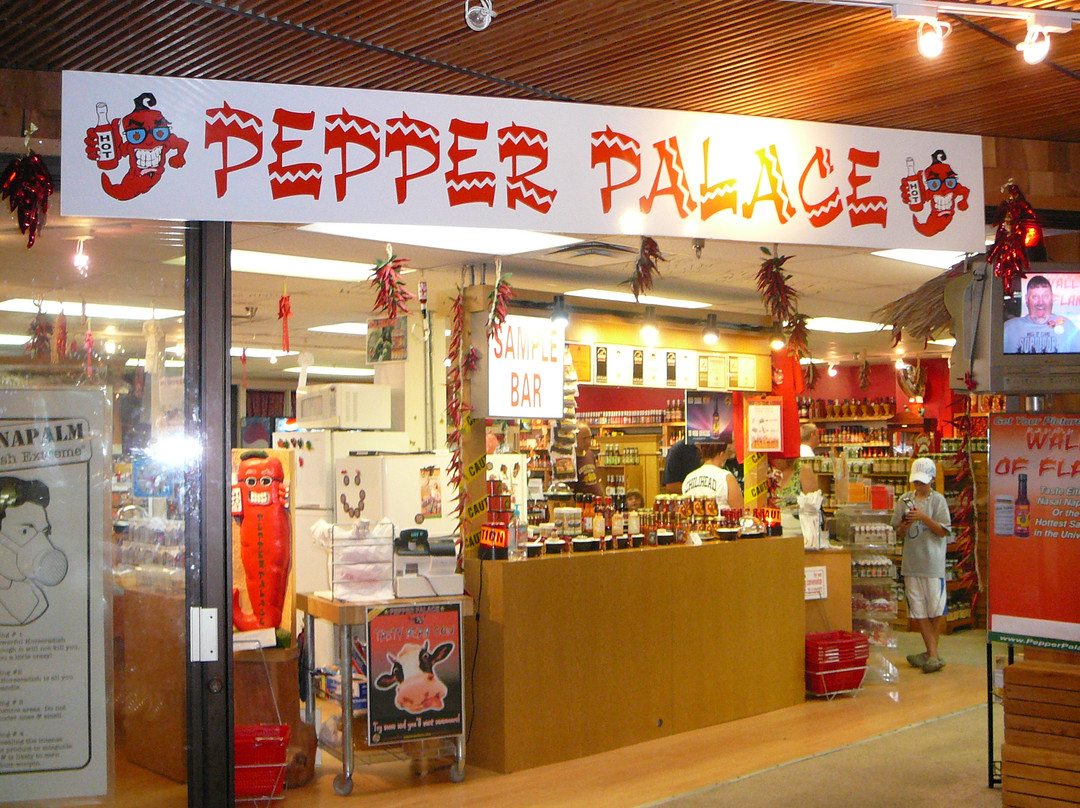 Pepper Palace景点图片