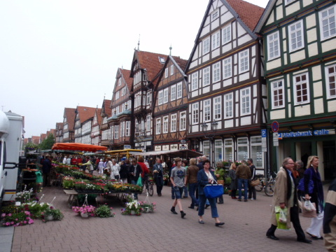 Nowak & Domino-客卧