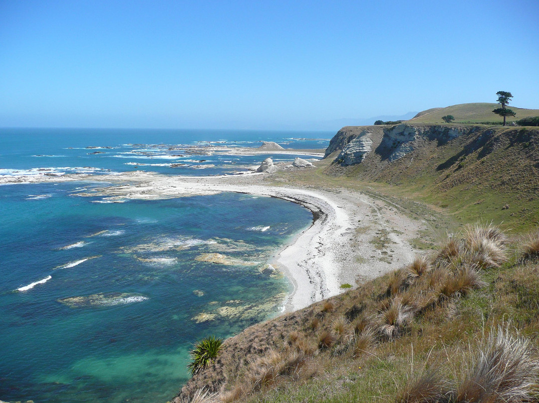 Kaikoura旅游攻略图片