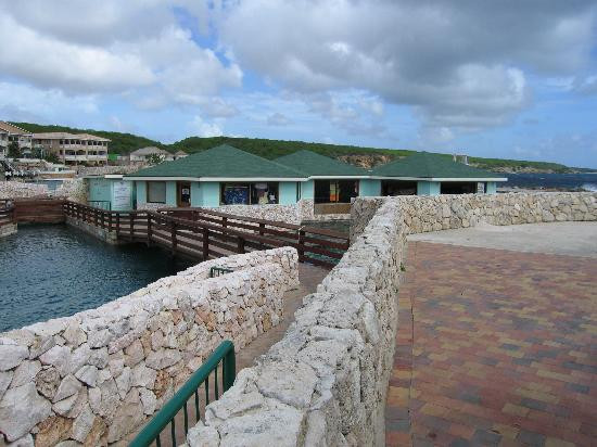 Curaçao Sea Aquarium-威廉斯塔德必去景点