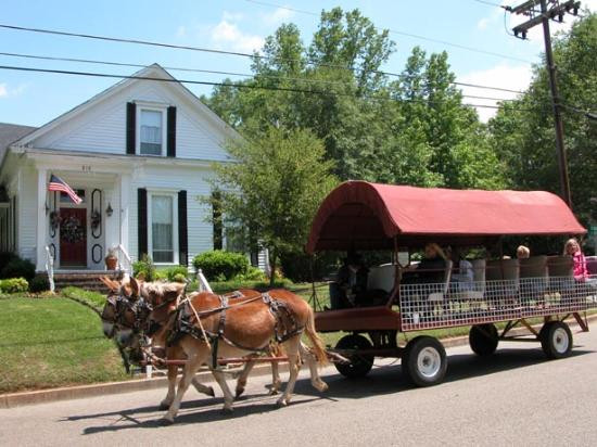 Claiborne House Bed and Breakfast主图