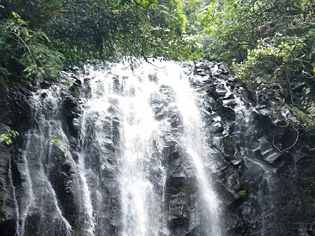 Waterfall Circuit and Tableland Tours