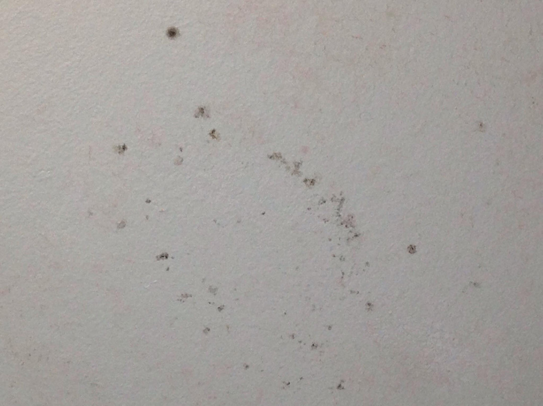 Panorama Motor Inn主图