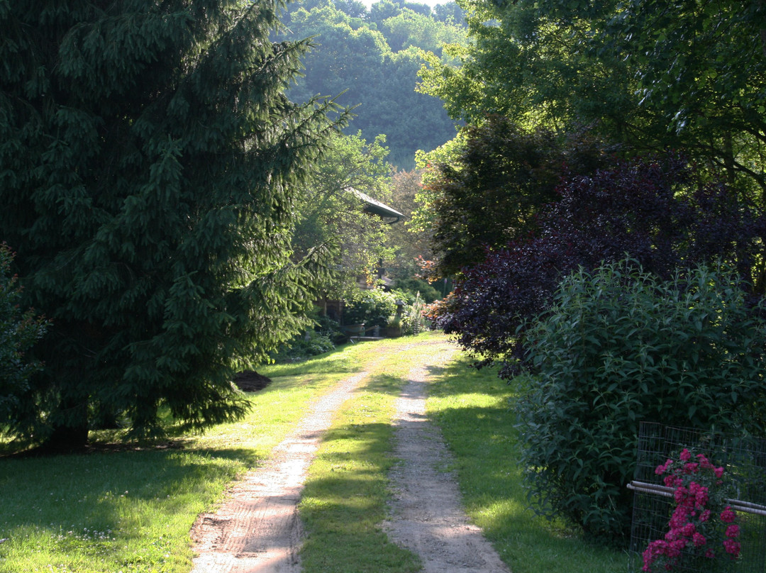 Sleepy Fox Inn and Spa主图