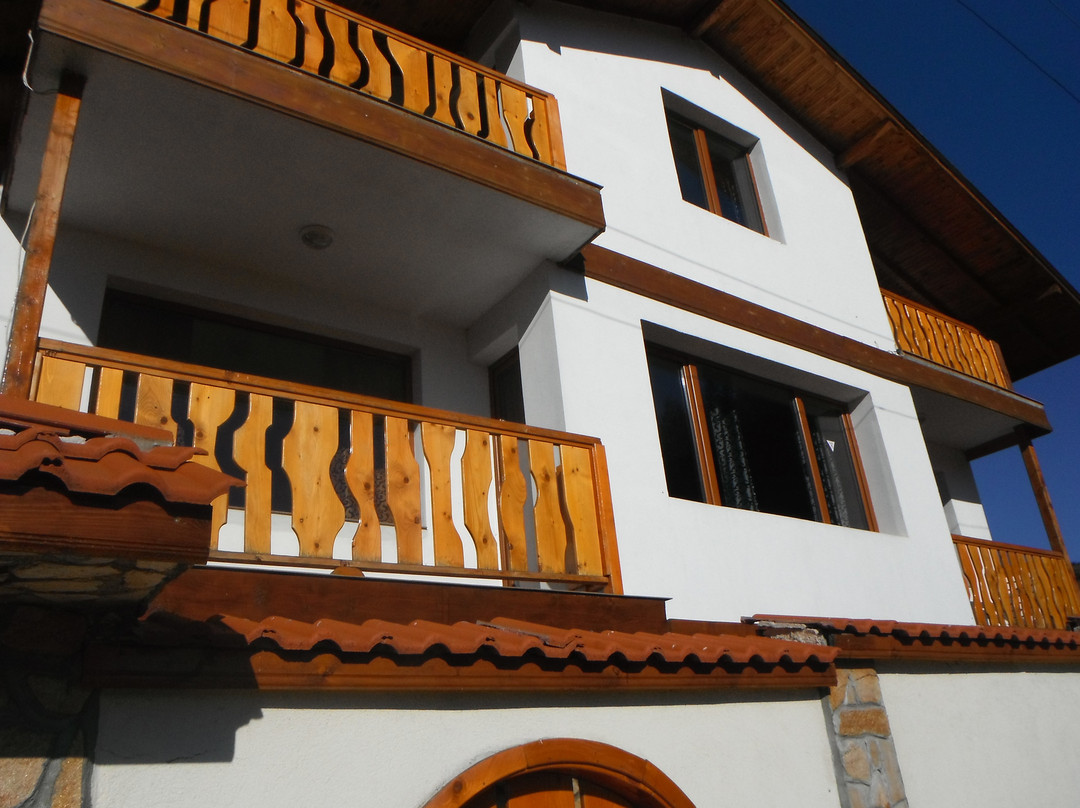 Dragushinovo Boutique Chalet Hotel主图