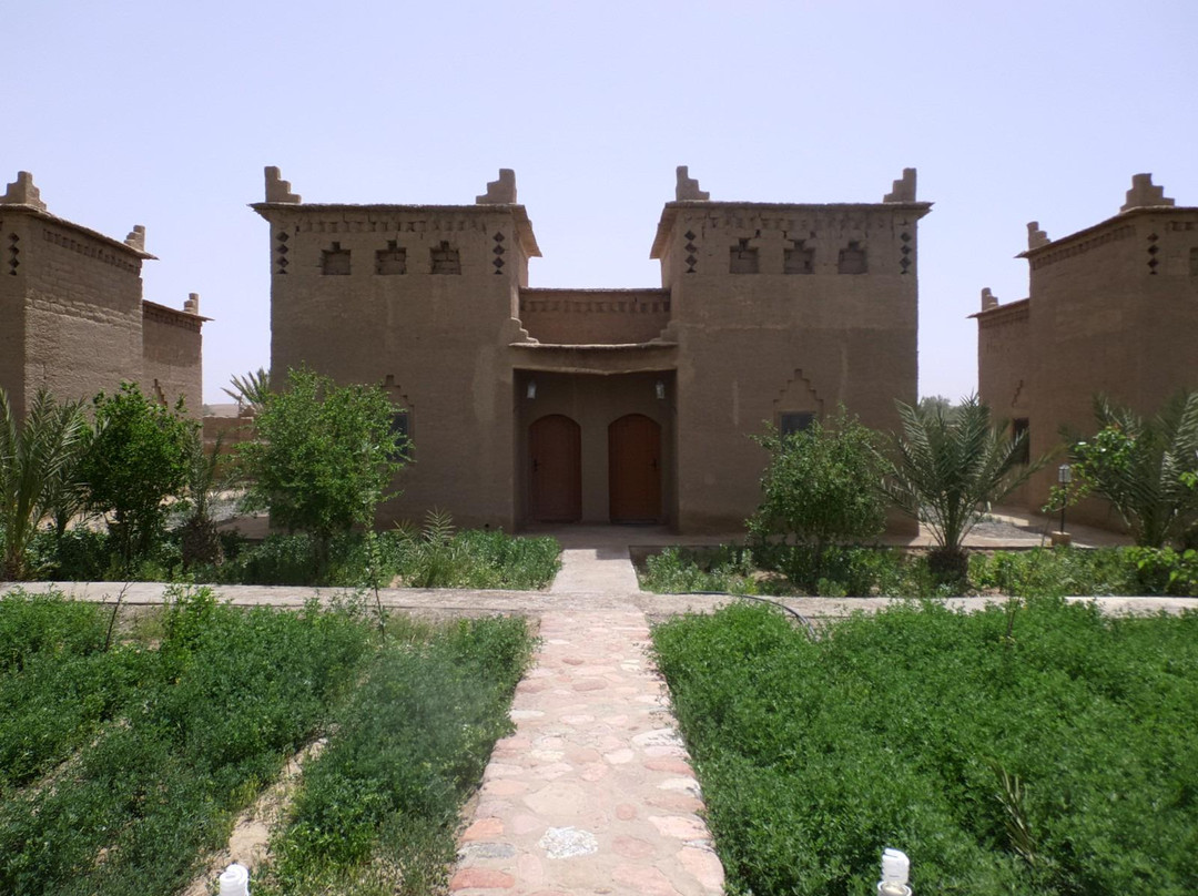 Camping Amridil Skoura