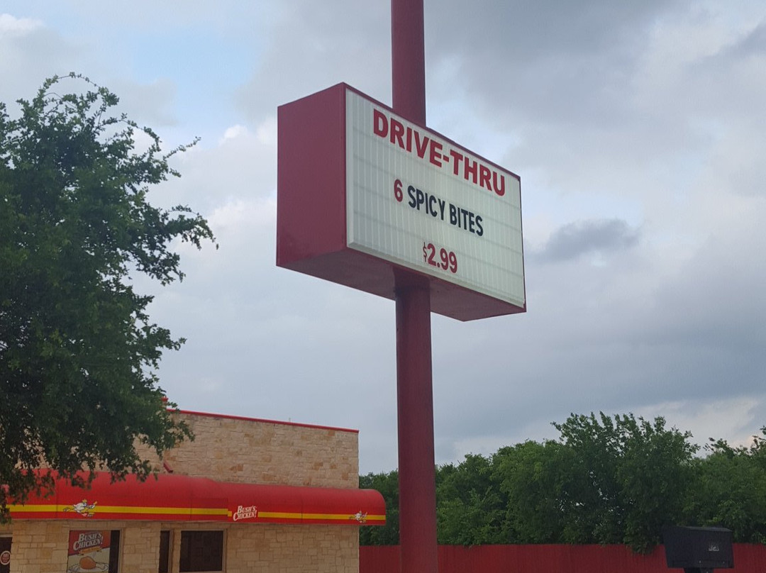 Bushes Chicken主图