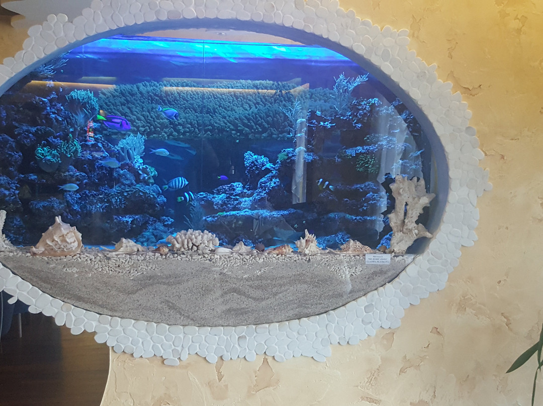 Hermanowa餐馆和美食-Classic