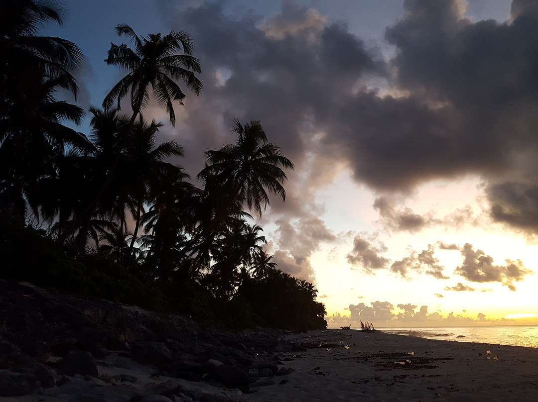 Equator Diving and Sp主图