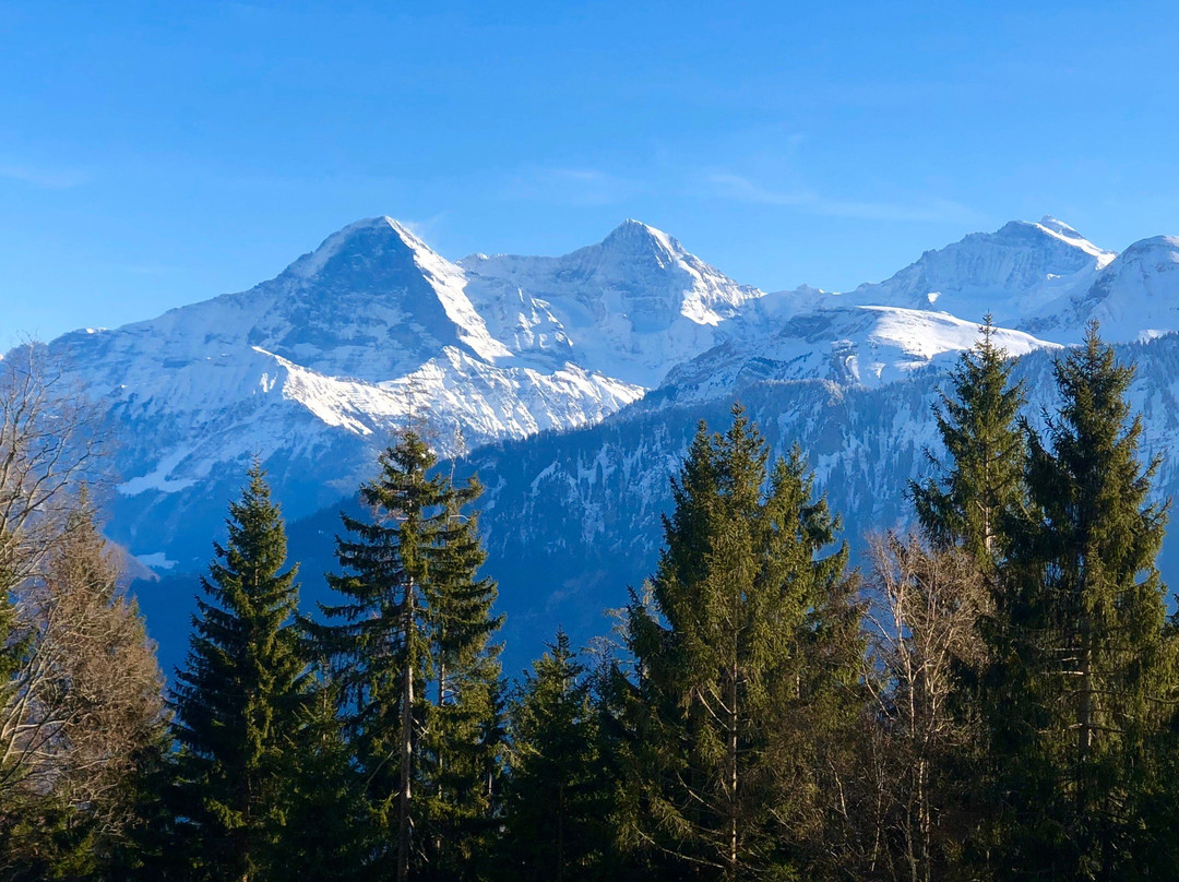 Schallstadt旅游攻略图片