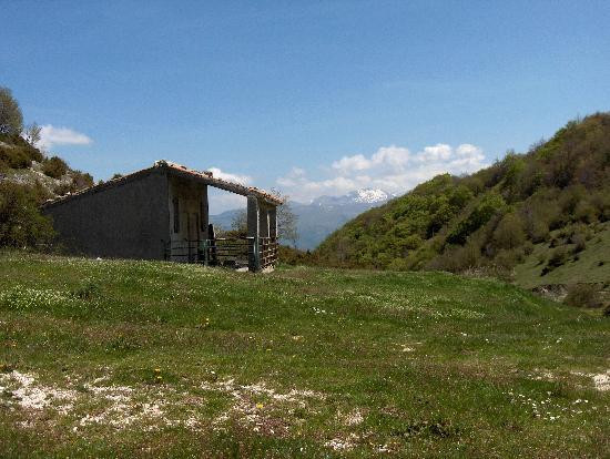 Muccia旅游攻略图片