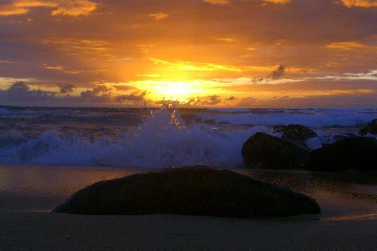 利德盖特州立公园-Wailua必去景点