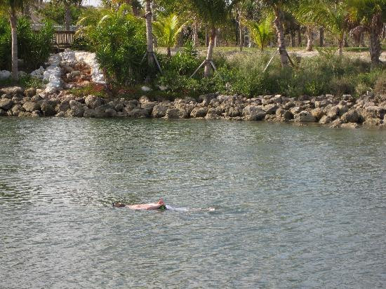Peanut Island Park-Riviera Beach必去景点