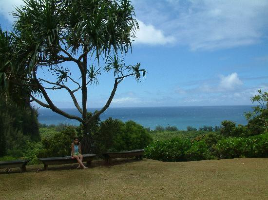 Limahuli Garden and Preserve-哈纳雷伊必去景点
