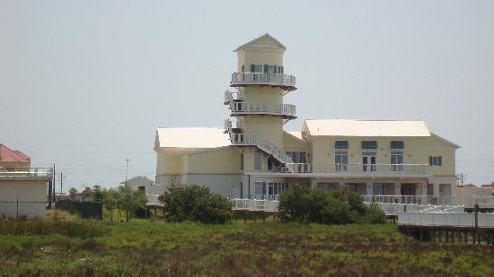 South Padre Island Birding, Nature Center & Alligator Sanctuary-南帕诸岛必去景点