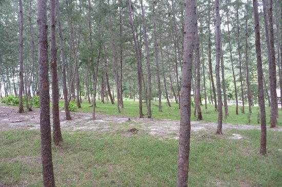 Taman Negara Tarutao-沙敦必去景点