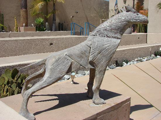 Museum of Latin American Art-长滩必去景点