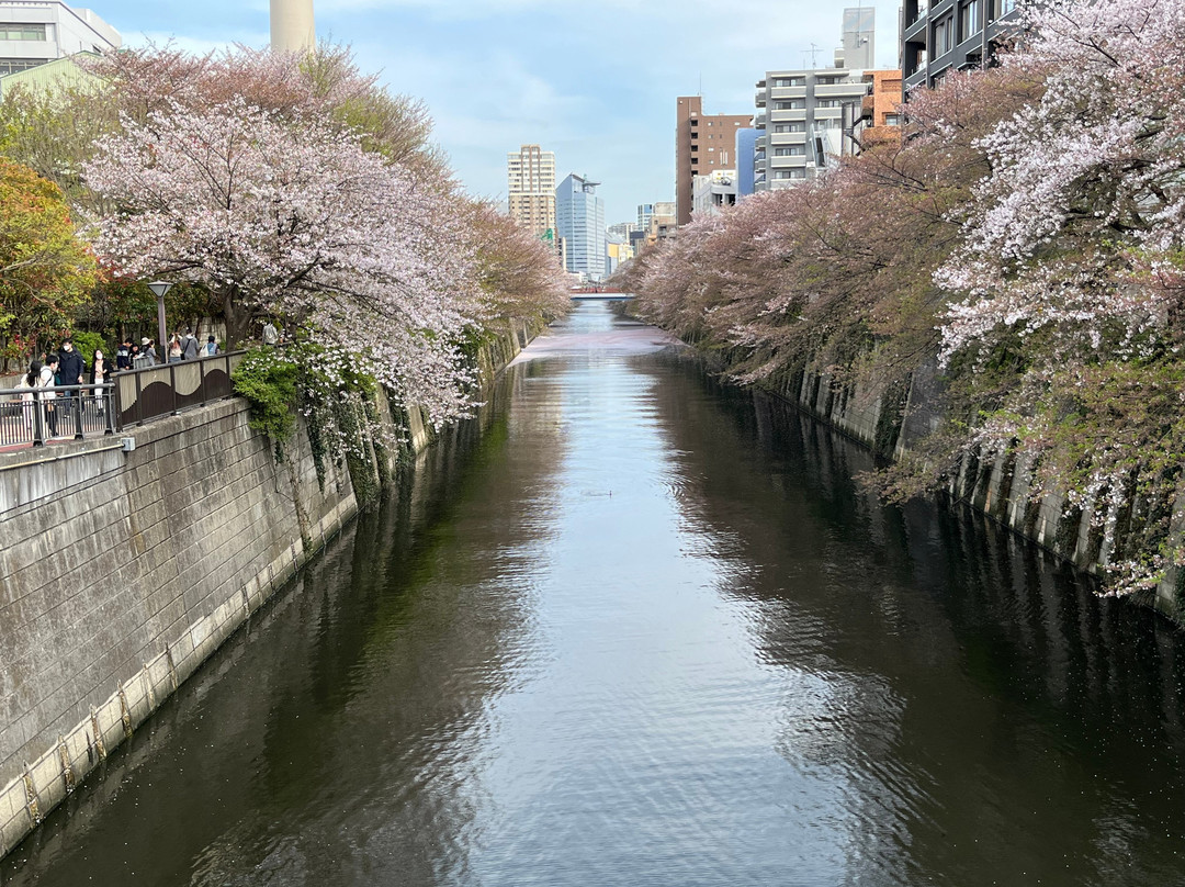 Nakameguro Park-Nakameguro必去景点