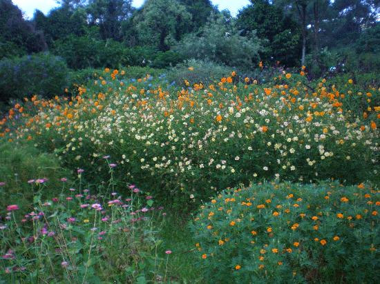 Eden Nature Park-达沃必去景点