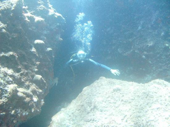 Aegean Divers Dive Center - Day Excursions-维查德必去景点