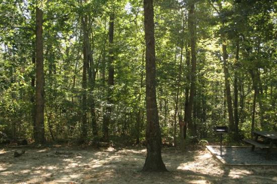 Cloudland Canyon State Park-Rising Fawn必去景点