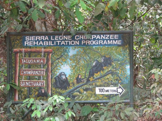 Tacugama Chimpanzee Sanctuary-弗里敦必去景点