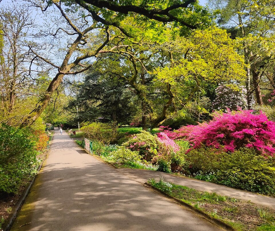 Clyne Gardens景点图片