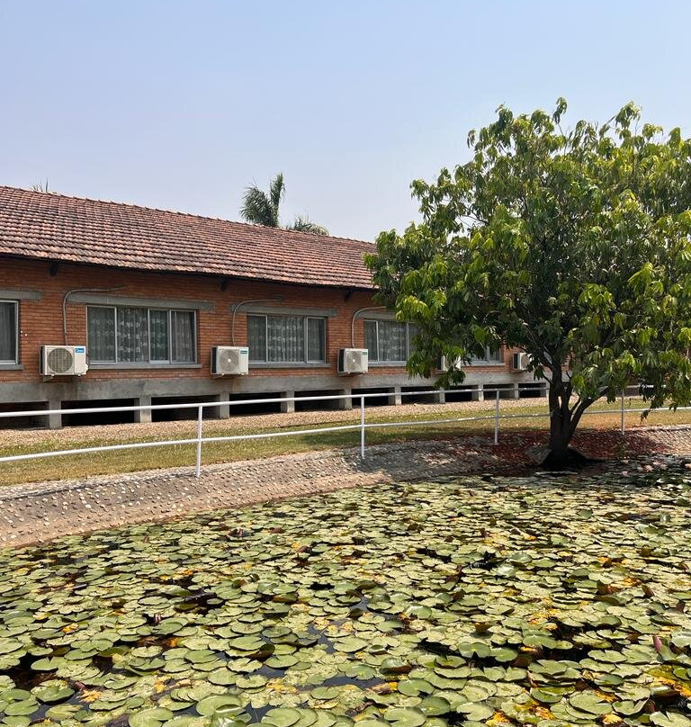 Lumbini Hokke Hotel主图