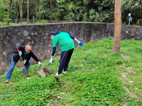 China Discovery Panda Volunteer-成都必去景点