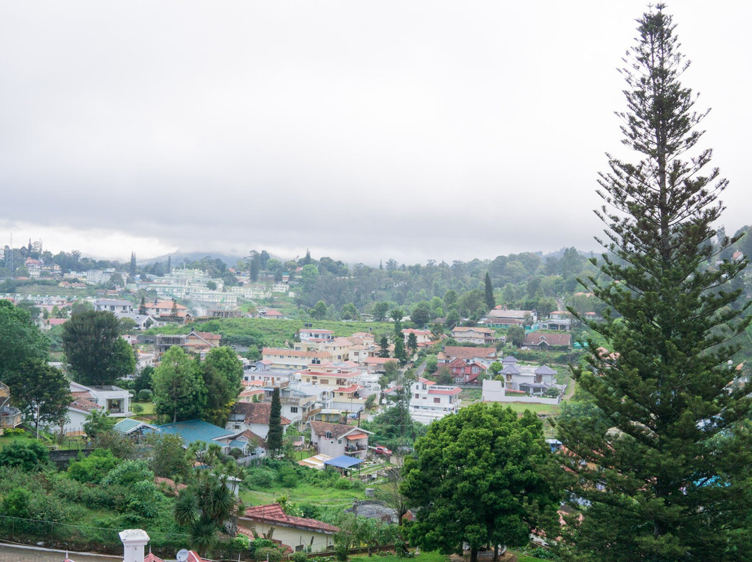 Orchid Square A Boutique Hotel主图