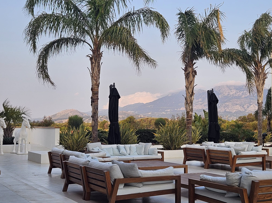 D'Andrea Lagoon主图