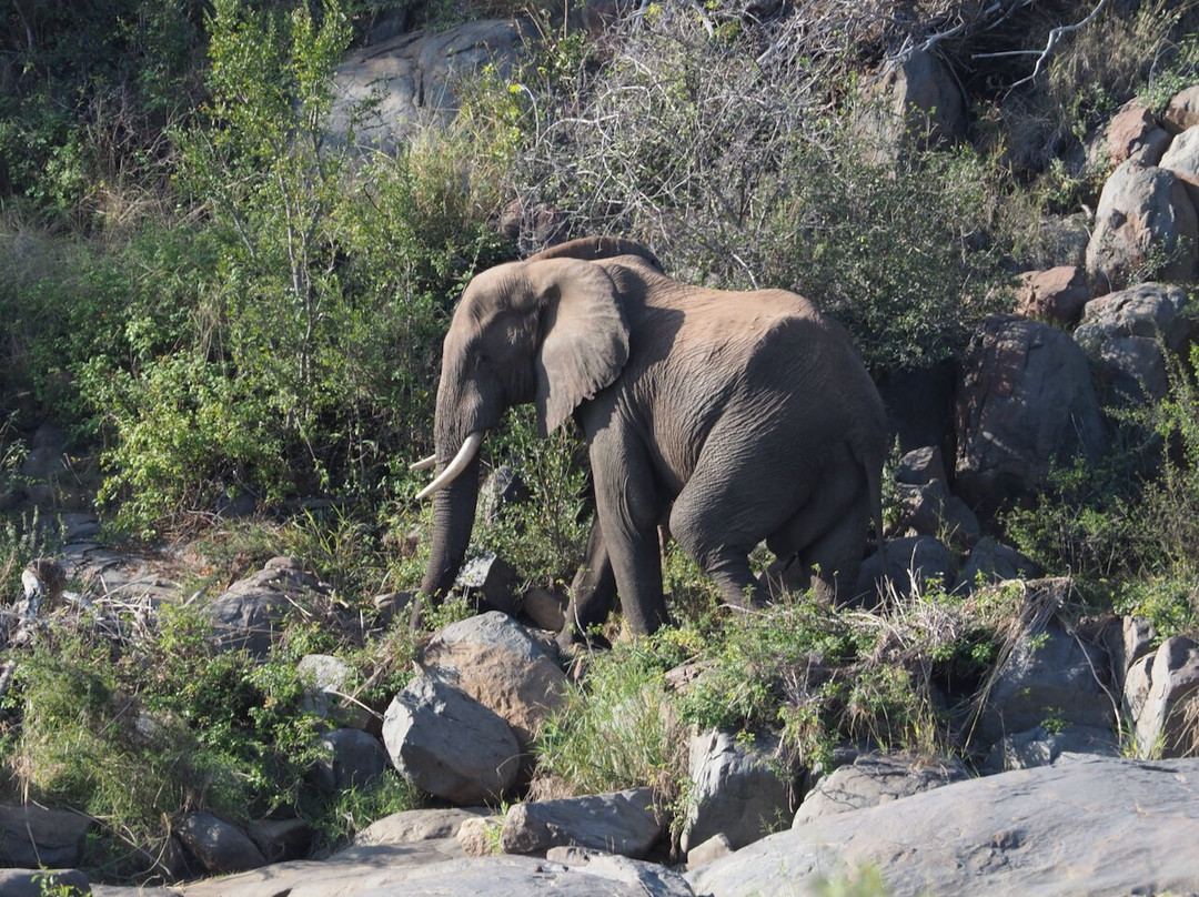 Ivory Wilderness River Rock Lodge主图