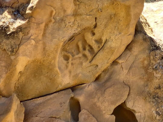 The Little Book Cliffs Wild Horse Area-大章克申必去景点