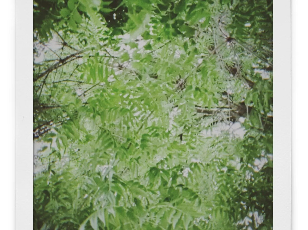 国色天乡乐园-成都必去景点