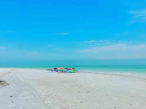 Clearwater Flats Fishing-帕姆港必去景点