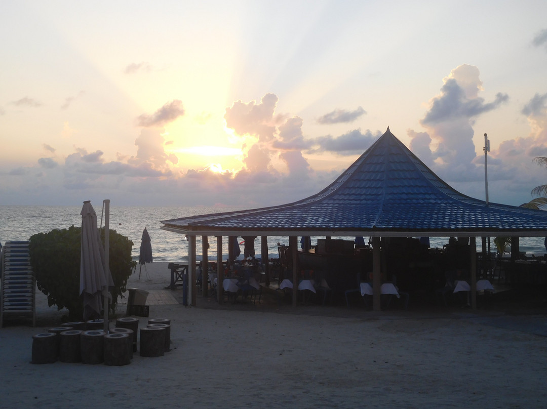 Negril Tree House Resort主图