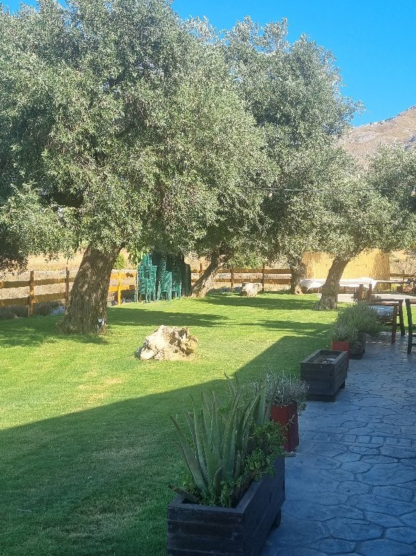 Cretan Aroma-Agkouseliana必去景点