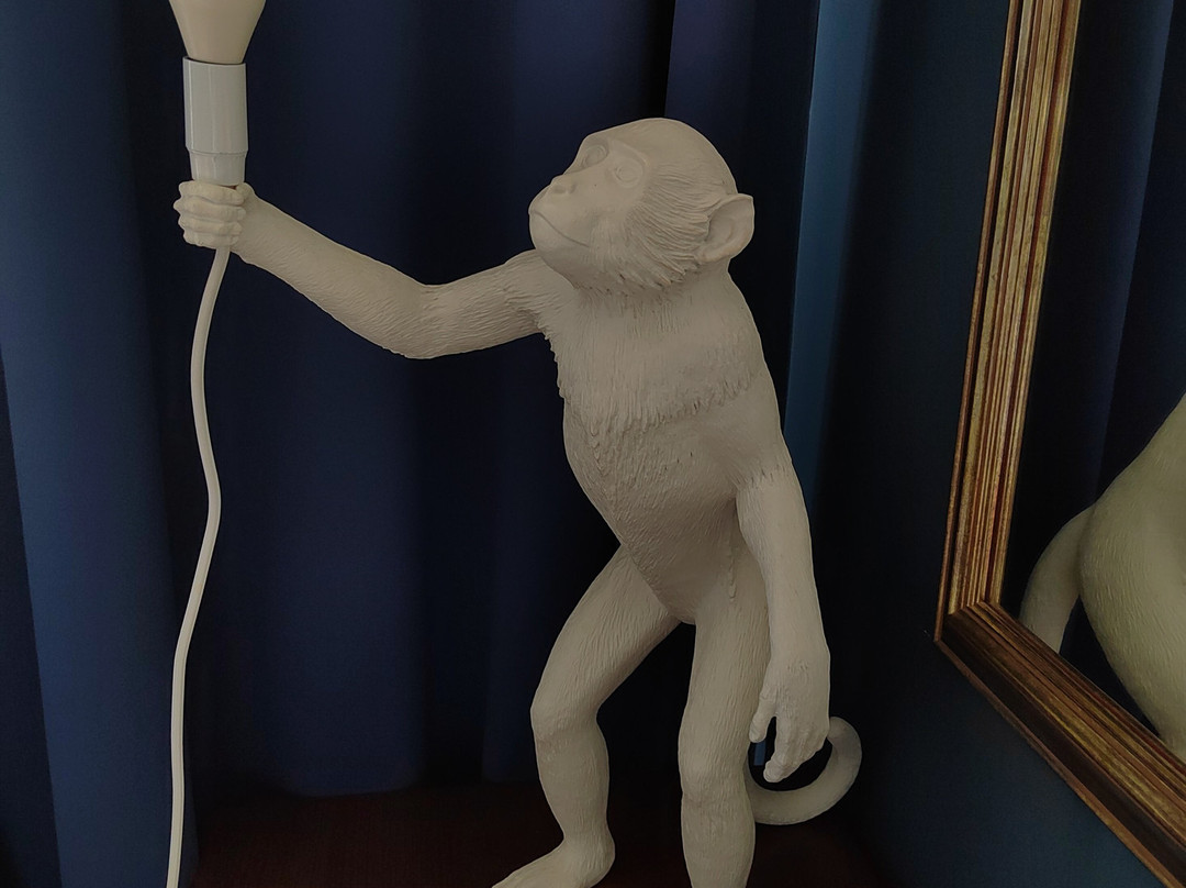 Apsuana Rose Boutique Hotel主图