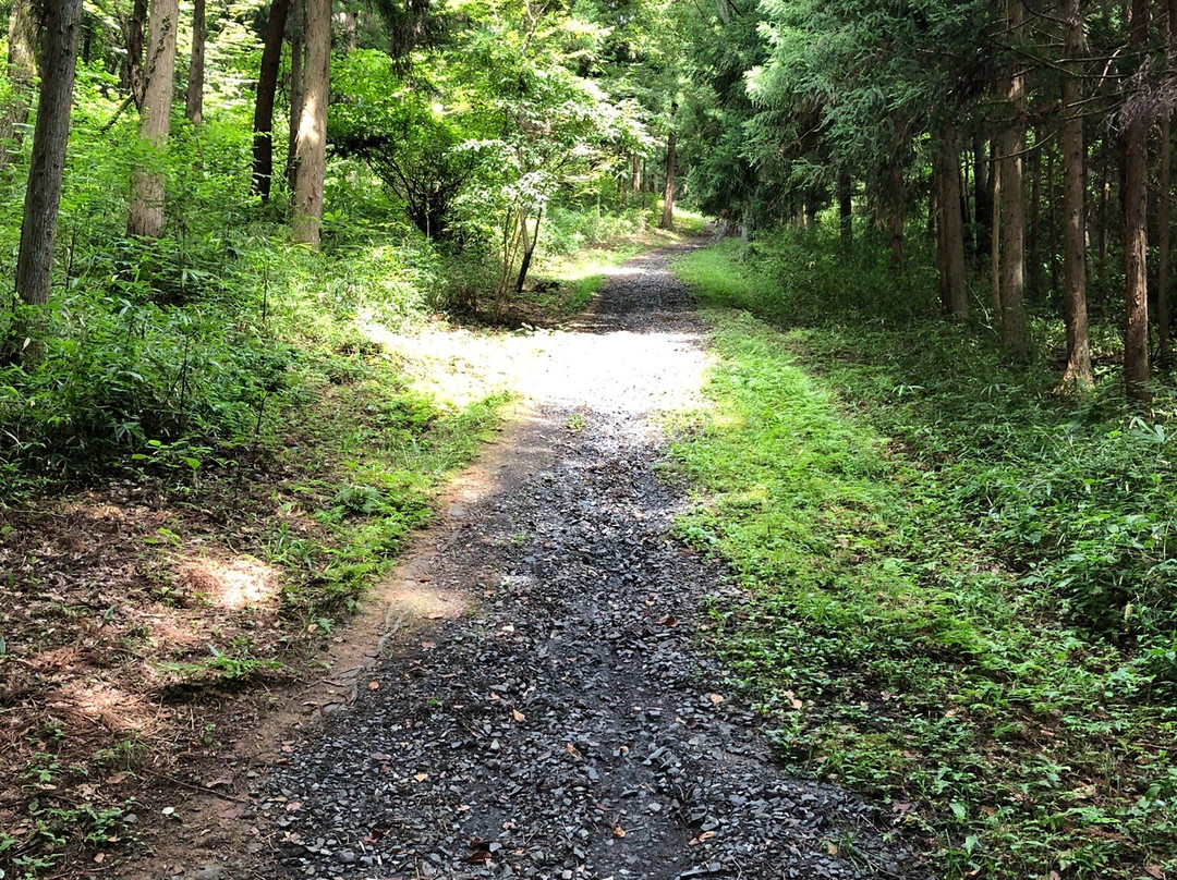 Mt.Kinkei-平泉町必去景点