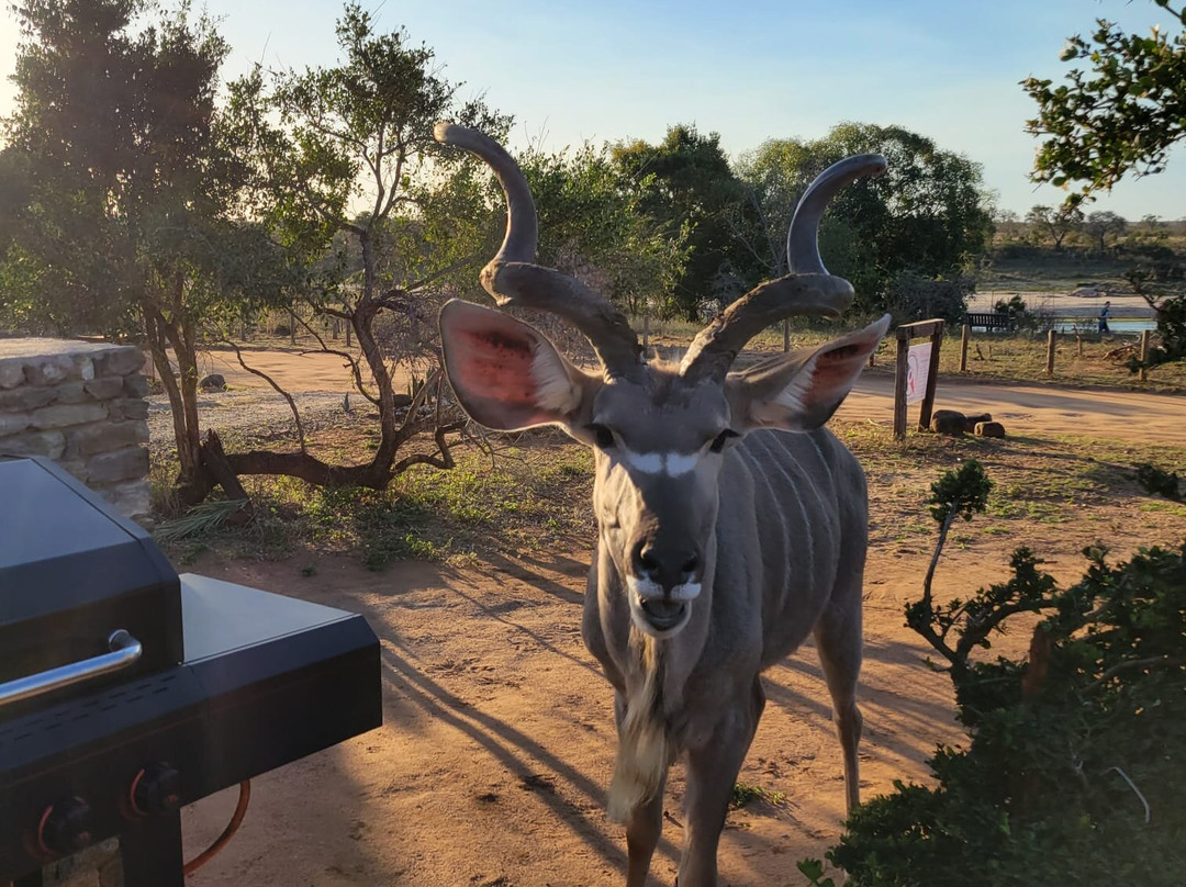 South Post at Kruger-克鲁格国家公园必去景点