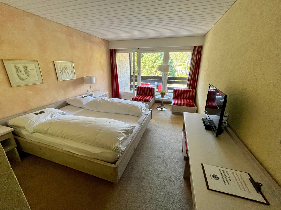 Hotel Säntis Lodge主图