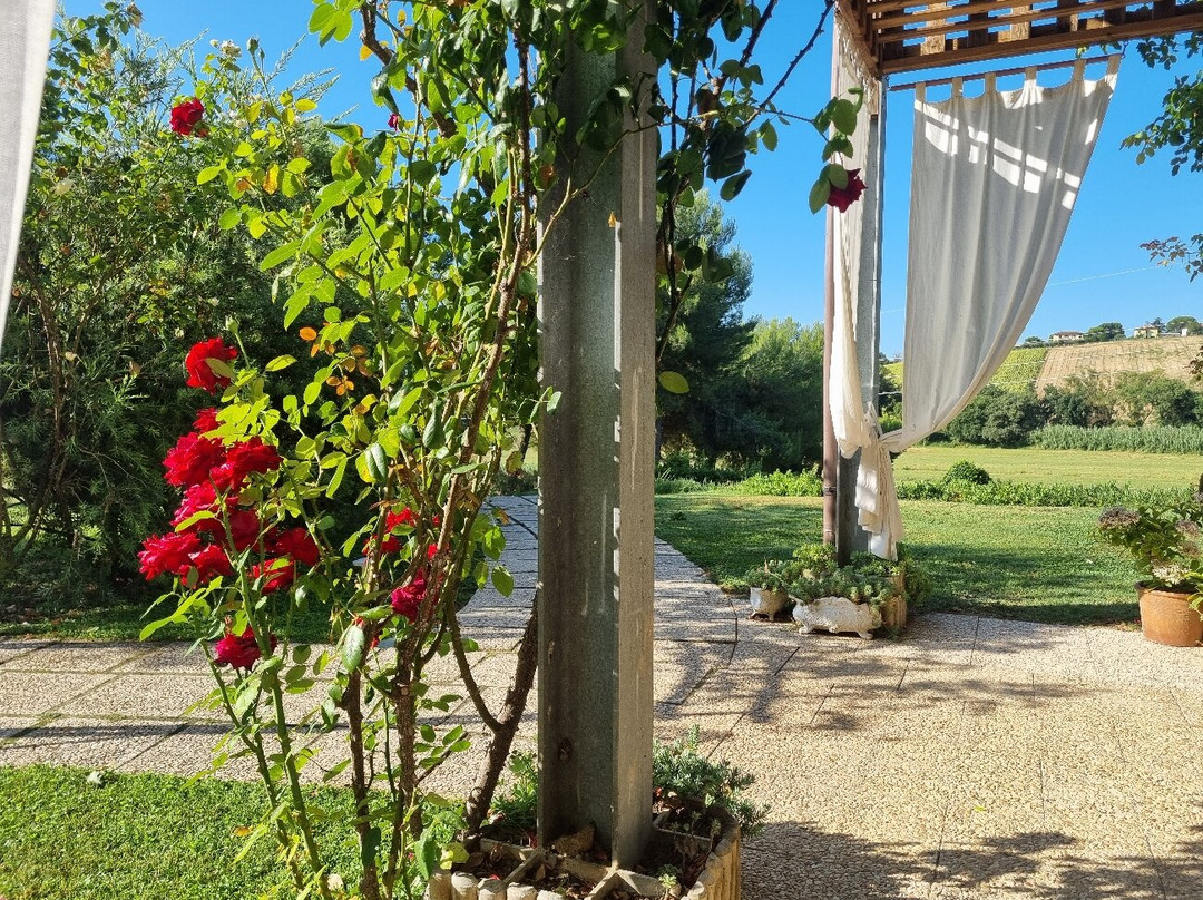 Borgoparvo Countryvilla主图