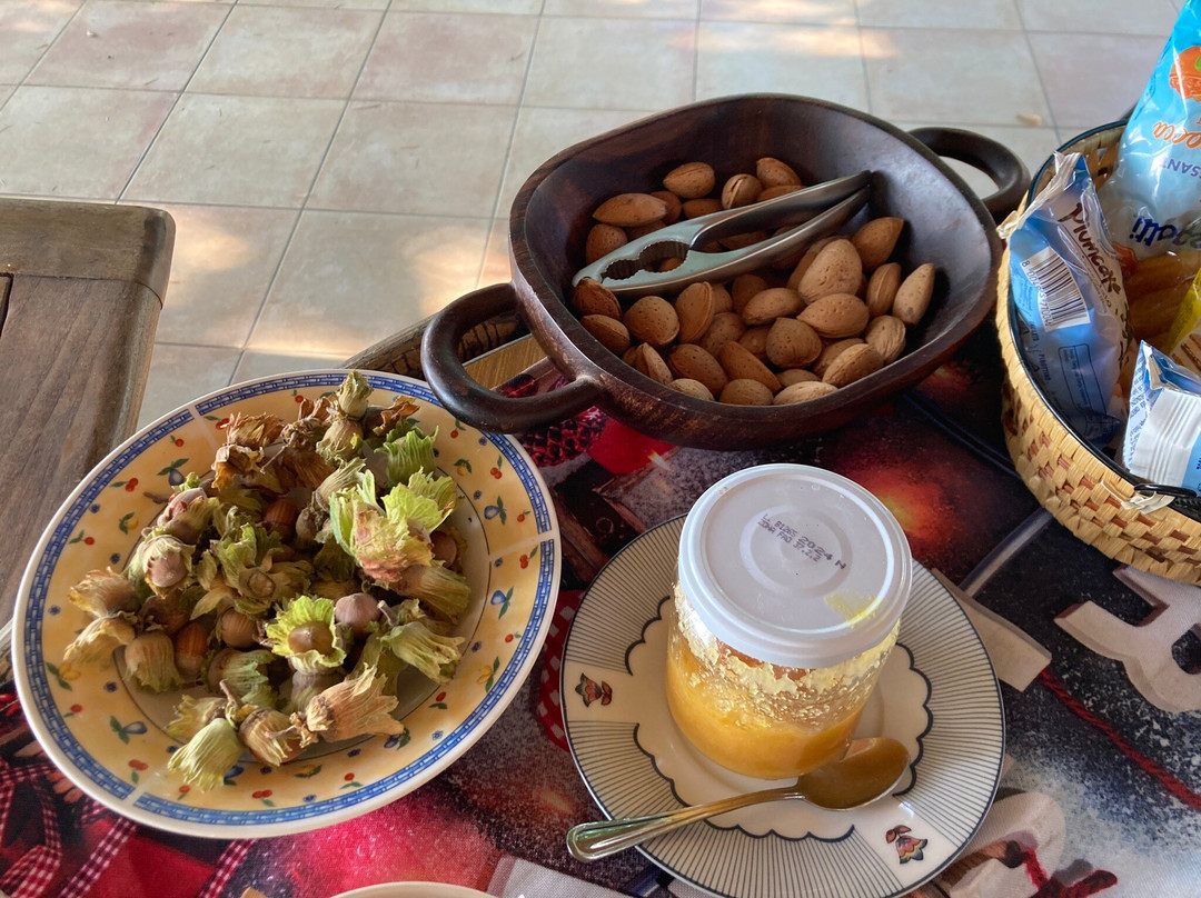Bed & Breakfast Montesterlino主图