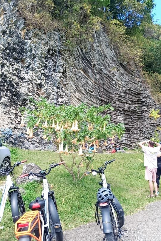 Soul Planet Cycles景点图片