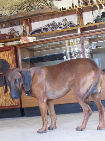 Namibia (SWA) Gemstones-Outjo必去景点