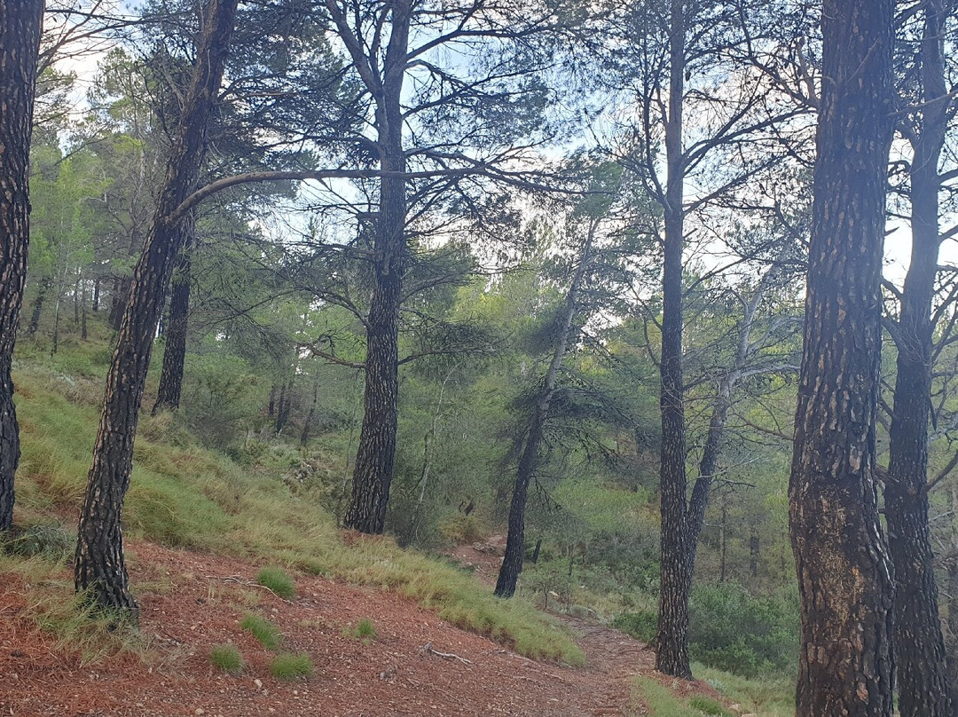 Collado del Polset-Busot必去景点