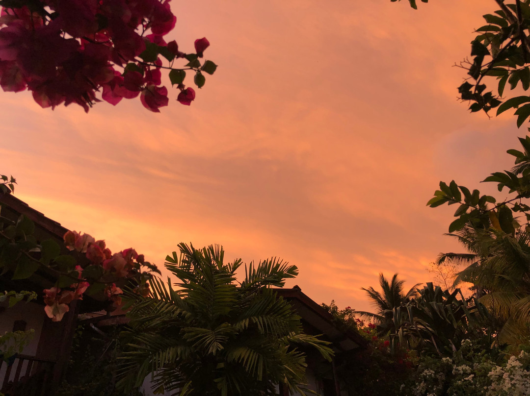 Royal Lotus Villa主图